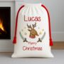 Santa Or Reindeer Christmas Sack, thumbnail 1 of 5