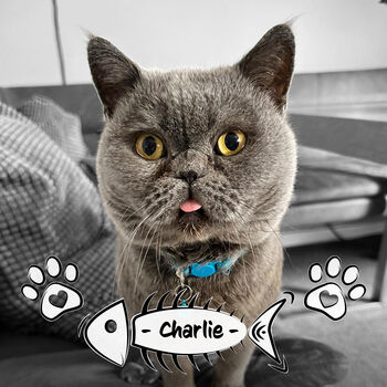 Personalised Cat Photo Slate Gift With Professional Photo Editing For Cat Mums And Dads, 3 of 6