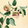 Vintage Style Botanical Burger Print, thumbnail 8 of 10
