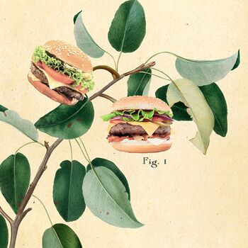 Vintage Style Botanical Burger Print, 8 of 10