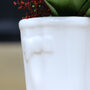 Personalised White Welly Boots Garden Planter, thumbnail 5 of 11