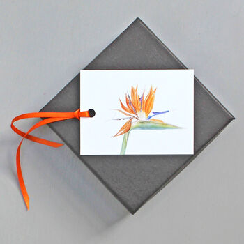 Gift Tags With Bird Of Paradise Illustration, 3 of 4