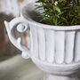 Arcadia Large Grecian Urn Plant Pot, thumbnail 5 of 7
