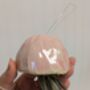 Ceramic Shell Jellyfish Air Plant Gift For Plant Lover, thumbnail 12 of 12