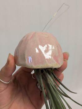 Ceramic Shell Jellyfish Air Plant Gift For Plant Lover, 12 of 12