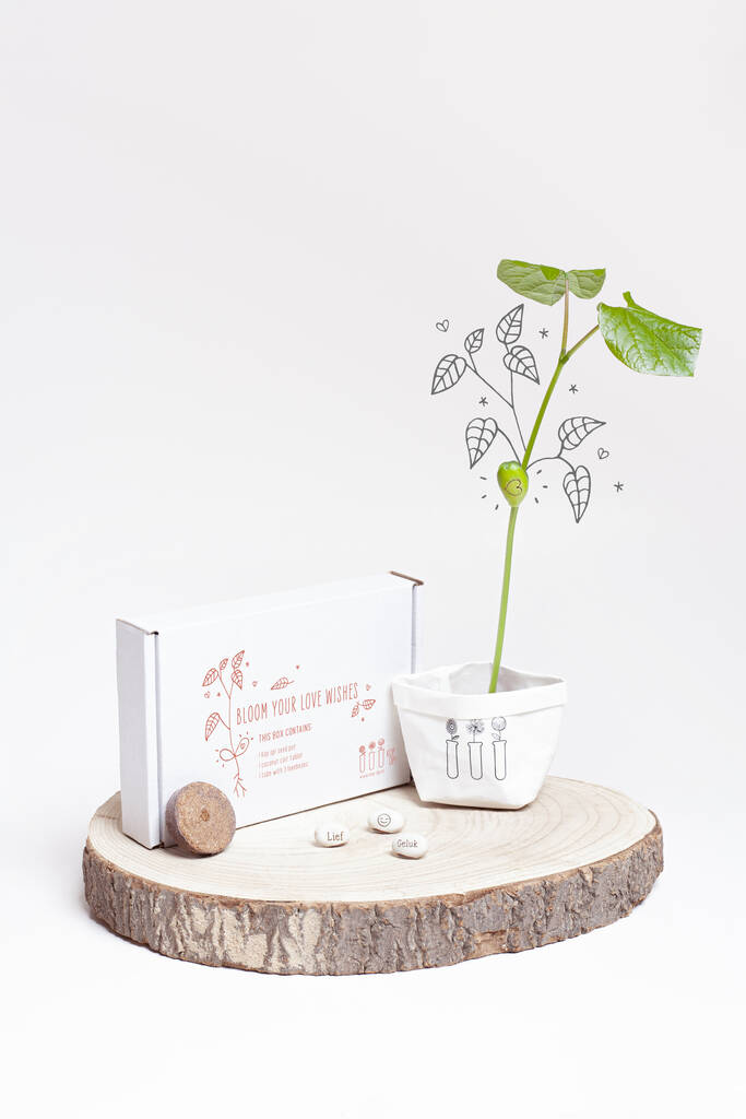 Image of Grow Your Own Wishing Beans Gift Box