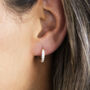 Hoop Earrings With Cubic Zirconia Diamante Stones, thumbnail 1 of 6