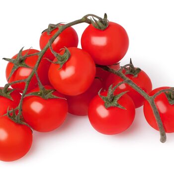 Tomato Plants 'Tumbling Tom Red' Six Plug Plant Pack, 8 of 8