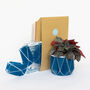 Origami Self Watering Eco Plant Pot: 10cm | Navy, thumbnail 3 of 9