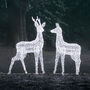 Plug In LED Reindeer Xl Stag And Doe Christmas Figures, thumbnail 1 of 6