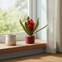 Handmade Felt Juna Tropical House Plant, thumbnail 1 of 3