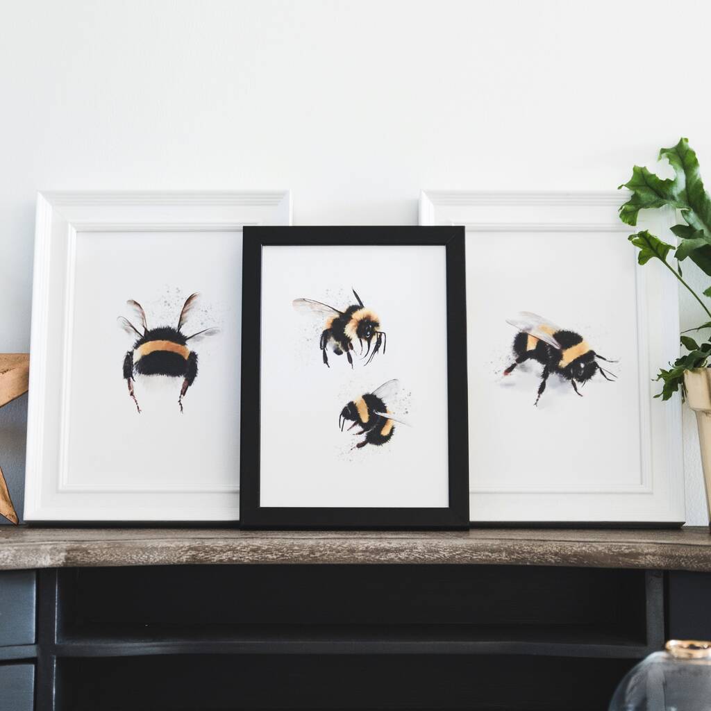 Set Of Three Bumblebee Illustration Prints, 1 of 4