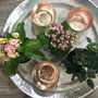 Pastel And Rose Gold Votive Holders, thumbnail 2 of 5