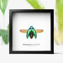Sternocera Jewel Beetle Insect Bug Entomology Taxidermy Box Frame, thumbnail 1 of 3