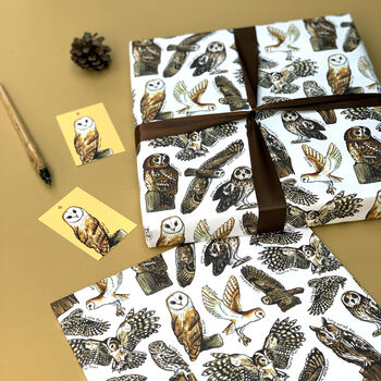 Owls Of Britain Wrapping Paper Set, 4 of 8