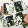 Box Of Eight Botanical Christmas Cards Greenery, thumbnail 2 of 2