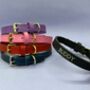 Personalised Leather Dog Collar, thumbnail 1 of 4