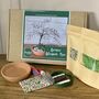 Blossom Bonsai Beaded Craft Kit, thumbnail 3 of 5