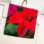 Pack Of Two Poinsettia Christmas Cotton Tea Towels, thumbnail 7 of 9