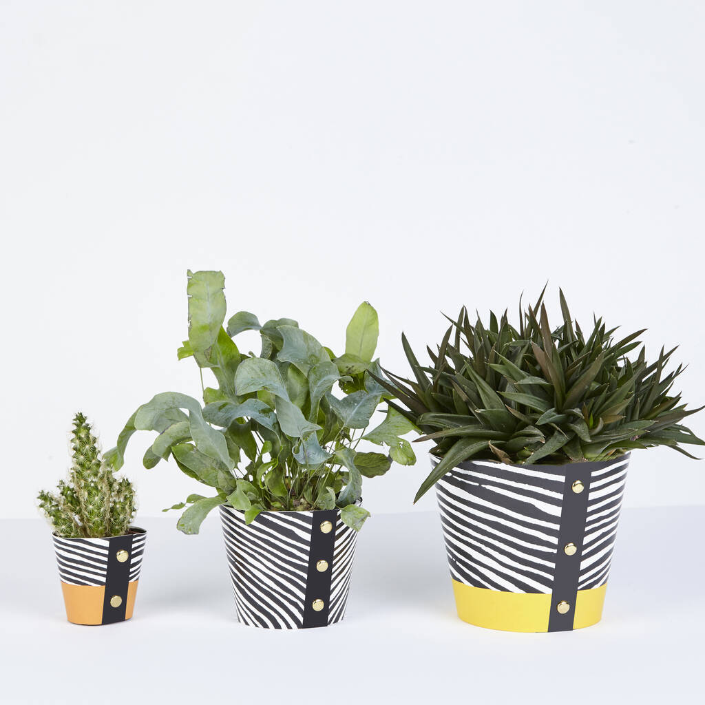 Small Wood Pattern Plant Pot Cover By Studio Wald