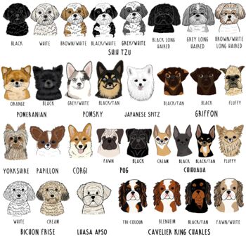 Petsonalised Dog Lover Pet Illustration Sweatshirt, 7 of 12