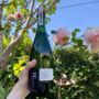 Sparkling With A Hint Of Rose X1 75cl, thumbnail 4 of 8