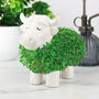 Grow Your Own Highland Cow Chia Planter, thumbnail 3 of 5