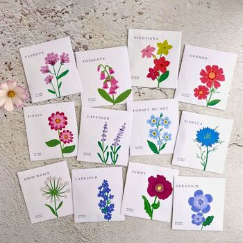 2026 Wall Calendar A5 Opens To A4, Grow Your Own Flower Garden Wall Seed Calendar, 6 of 10