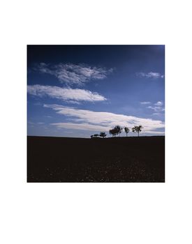 Walsham Le Willows Photographic Art Print, 3 of 4