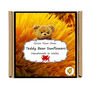 Gardening Gift. Teddy Bear Growing Kit, thumbnail 5 of 5