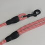 Red And White Stripped Rope Dog Lead, thumbnail 9 of 12