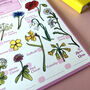 Wildflowers Spotting Journal Notepad, thumbnail 6 of 11