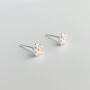 Sterling Silver Flower Stud Earrings Two Sizes, thumbnail 3 of 4