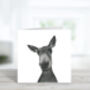 Sirus The Donkey Luxury Blank Greeting Card, thumbnail 2 of 3