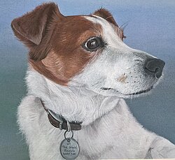 Hand painted personalised pet portrait