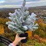 Christmas Snowy Table Top Tree, thumbnail 1 of 4