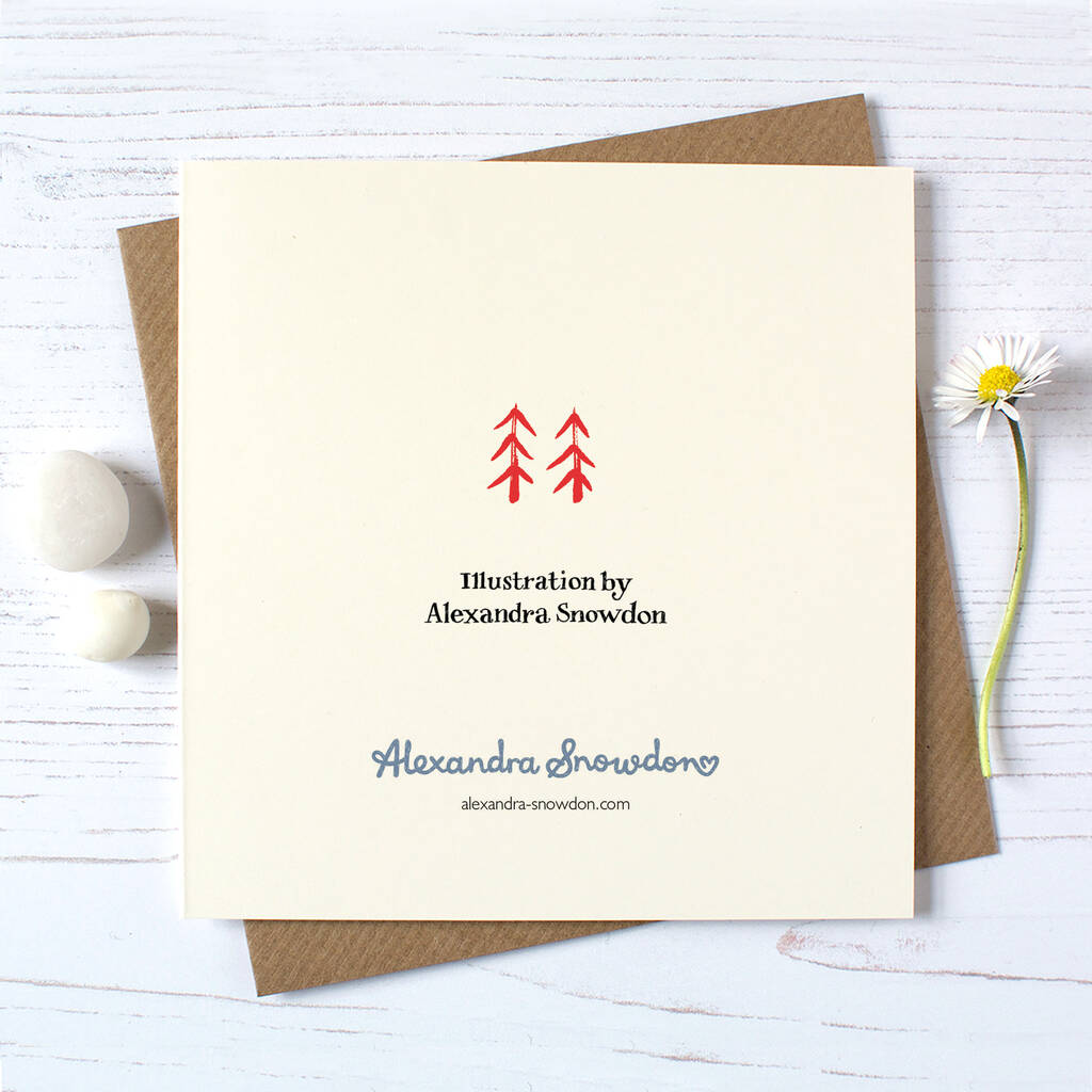 Eco Friendly Christmas Card Pack By Alexandra Snowdon 