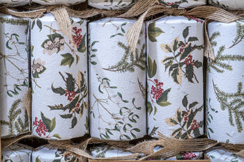 Plantable Christmas Crackers, 2 of 4