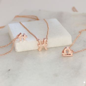 Zodiac Star Sign Necklaces, 9 of 9