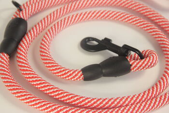 Red And White Stripped Rope Dog Lead, 6 of 12
