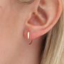 18ct Gold Plated Or Silver Horn Pull Thru Earrings, thumbnail 1 of 6