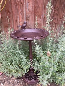 Freestanding Cast Iron Bird Bath – Metal Garden Feature, 8 of 10