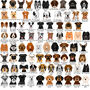 Dog Breed ID Tag Personalised Realistic Illustrations, thumbnail 7 of 12
