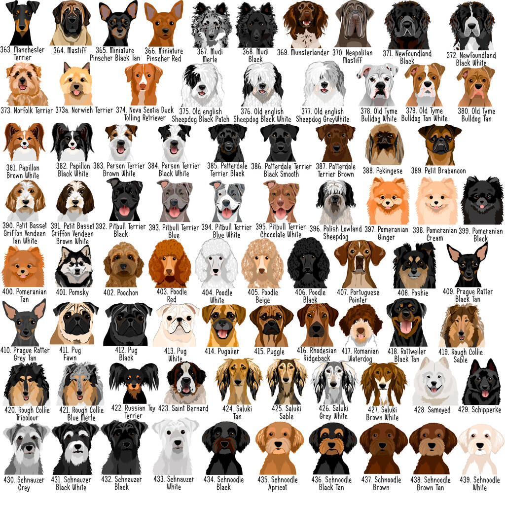 Dog Breed ID Tag Personalised Realistic Illustrations By Hoobynoo