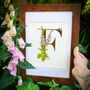 F Is For Foxgloves Illuminated Print, thumbnail 3 of 4