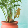 Australia Plant Animal Set Of Three Koala, Bushbaby And Frog Brass Houseplant Decoration, thumbnail 3 of 4