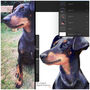 Personalised 'Nellie' Dog Father's Day Card, thumbnail 6 of 9