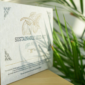 Sustainable Seed Kit. Plants For The Vegetable Patch, 5 of 6