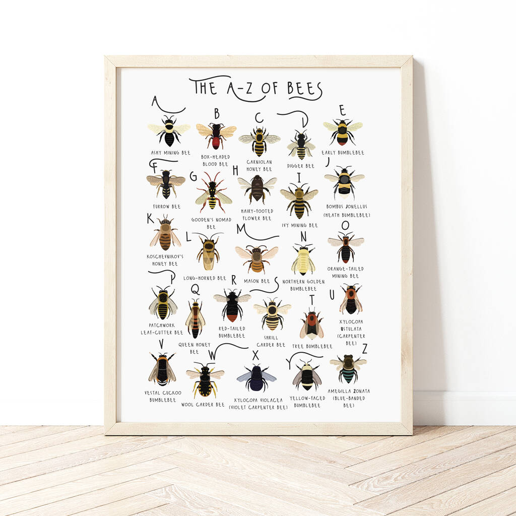 The A To Z Of Bees Print, 1 of 6