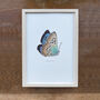Large Blue Illustrated Butterfly Print, thumbnail 1 of 3